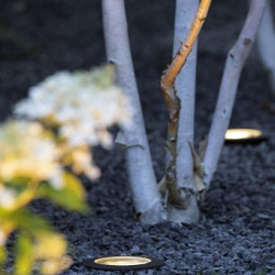 Integrated Nero Grondspots