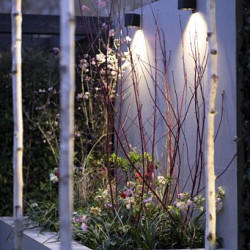 Wall Halo down 100-230v Wandlampen