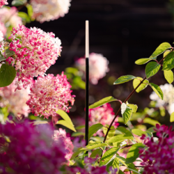 Breeze Staande buitenverlichting