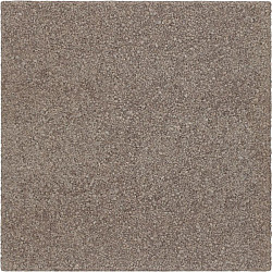 Colorline 60x60x4 Taupe Beton tegels