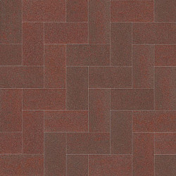 BSS ExcluKera Rood-Bruin 10,5x21x8 Beton klinkers