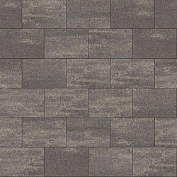 Tremico 6cm 20x30cm Drents bont Beton tegels