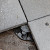 Verstelbare tegeldragers Medium 3,0 t/m 5,0 cm Tegeldragers