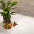 GeoCeramica Motion Shell Beige 60x60x4 Keramische tegels