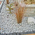 Gletsjerkeien 25 kg Grijs-beige 30-60 mm Keien
