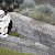 Combiwall Splitton Uno Mount Everest 15x30x12 Getrommeld,4 zijden gekloofd muurelement Stapelblokken
