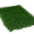Kunstgras Perfection 60   4 meter breed Kunstgras