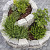 Combiwall Splitton Matterhorn 15/22x20x15 Getrommeld stapelbaar muurblokje in trapeziumvorm Stapelblokken