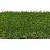 Kunstgras Havana 30   4 meter breed Kunstgras