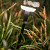 Solitary Mini sway light head black Staande buitenverlichting