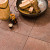 GeoProArte Steel Oxido 100x100x6 Beton tegels