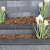 President Black 100x15x3 Vijverrand, 6 zijdes verzoet, 8 facetranden Vijver- en zwembadrand