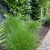 Kantopsluiting Double (flg) 300x16,5 cm CORTEN Borderrand cortenstaal 