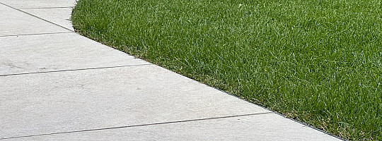 image00010