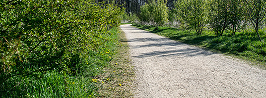 padvast 0 14mm