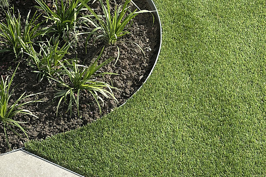 image00008