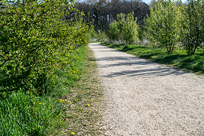 padvast 0 14mm