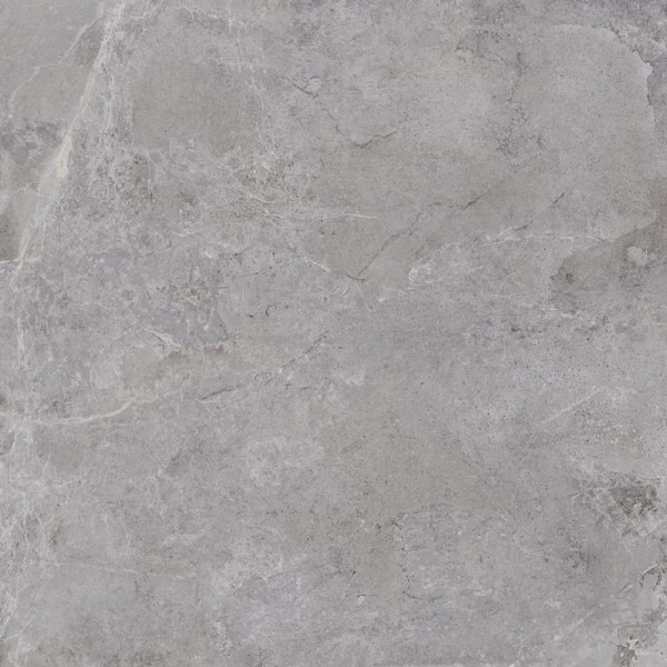 60 x 60 x 2 cm - Evolution Grey Keramische tegels