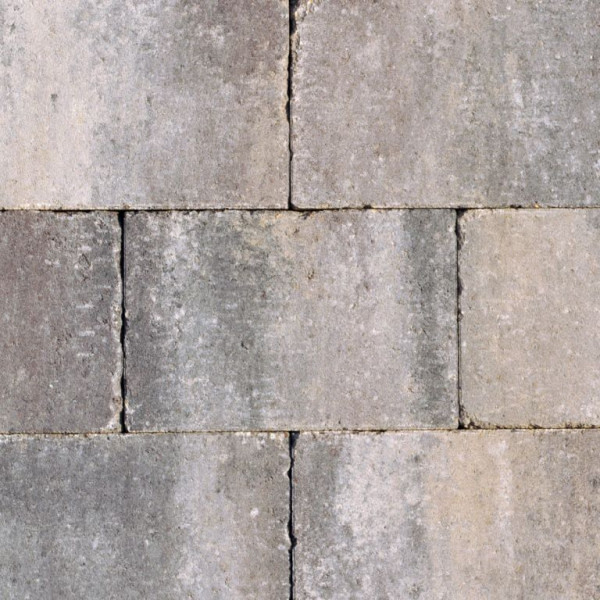 Abbeystones Giallo met deklaag 20x30x6 Stenen en klinkers