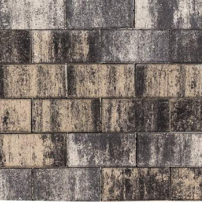Tremico Zeeuws Bont 20x30x6 Beton tegels