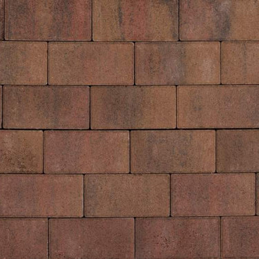 Tremico Oud Bont 30x60x6 Beton tegels