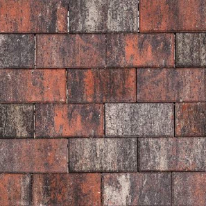 Tremico Twents Bont 30x60x6 Beton tegels