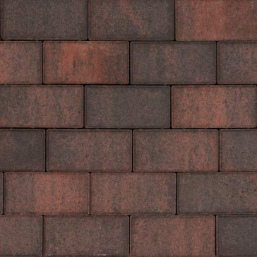 Tremico waalformaat Rood/Zwart 5x20x6 Beton klinkers