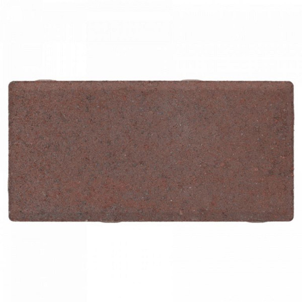 BSS ExcluKera Rood-Zwart 10,5x21x8 Beton klinkers