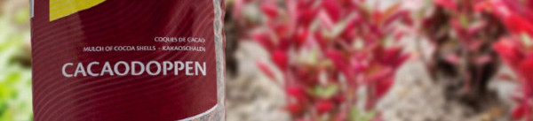 Cacaodoppen