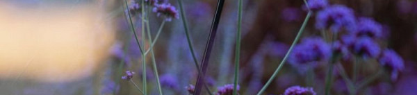 Staande buitenverlichting