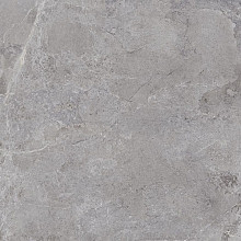60 x 60 x 2 cm - Evolution Grey Keramische tegels
