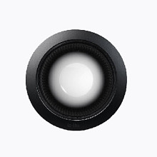 DOT Black Grondspots