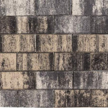 Tremico 6cm 30x60cm Zeeuws bont Betontegels