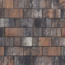 Tremico 6cm 30x60cm Texels bont Betontegels