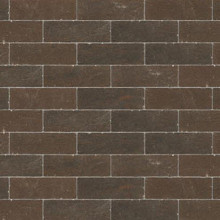 Waalformaat Bosoven Prunia 5x20x7 Stenen en klinkers