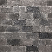 Tumbelton Extra Gothic 15x30x6 Getrommeld Stenen en klinkers