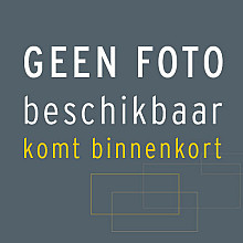 Patioblok Noors wit 60x15x15 Strak Stapelblokken
