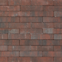 Tremico waalformaat Twents Bont Beton klinkers