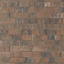Tremico waalformaat Texels Bont Beton klinkers