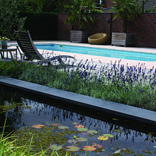 President Black 100x25x3 Vijverrand, 6 zijdes verzoet, 8 facetranden Vijver- en zwembadrand