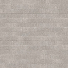 Lungo 40x8x8 Ash Stenen en klinkers